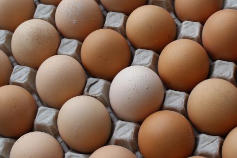 Quality Egg LLC has agreed to pay $6.8 million in fines for selling old eggs with false labels and the tainted products that caused a nationwide salmonella outbreak in 2010