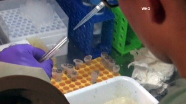 Canada will donate up to 1,000 doses of an experimental Ebola vaccine to help battle the disease's outbreak in West Africa