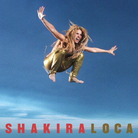 Shakira's Spanish-language version of Loca in 2010 had infringed on a song by Dominican singer Ramon Arias Vazquez