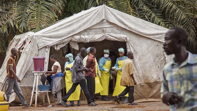 The WHO says it is ethical to use untested drugs to treat patients infected with the Ebola virus