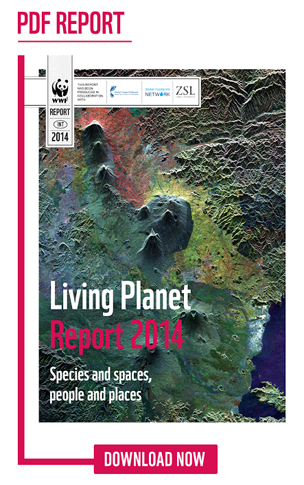 The 2014 Living Planet Report suggests wildlife populations have halved in 40 years