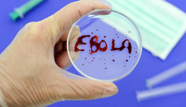 Serum made from the blood of recovered Ebola patients could be available within weeks in Liberia