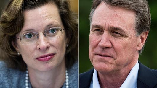 Non-profit executive Michelle Nunn and businessman David Perdue are running for Georgia senate seat left empty by the retirement of Republican Saxby Chambliss