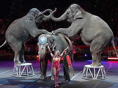 Ringling Bros Circus elephant act