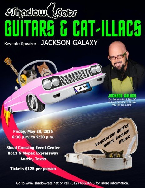 Jackson Galaxy at Guitars and Catillacs in Austin