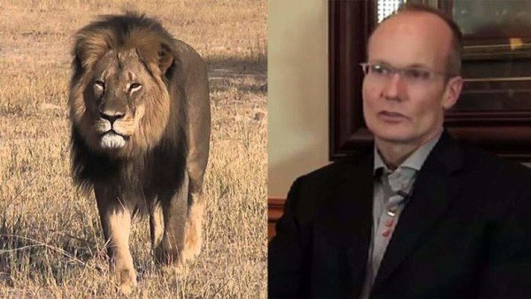 Cecil the Lion killed by Dr Walter Palmer