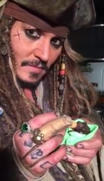 Johnny Depp feeding baby bat