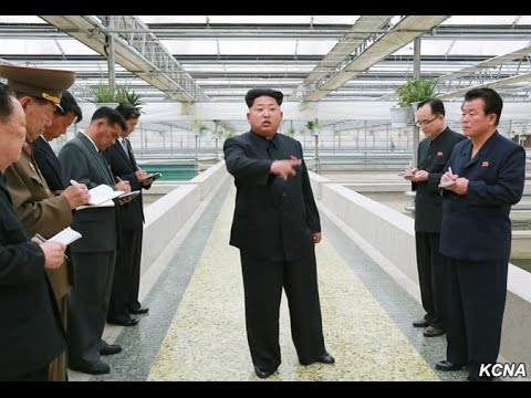 Kim Jong un terrapin farm execution