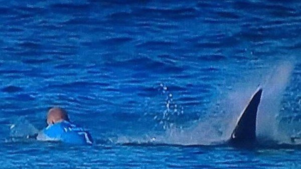 Mick Fanning shark attack J Bay Open