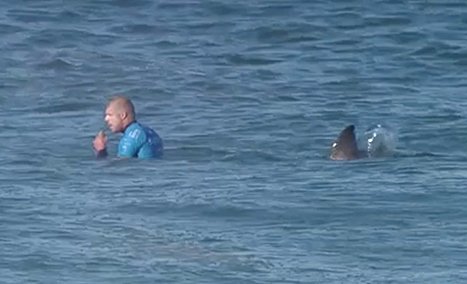 Mick Fanning shark attack July 2015