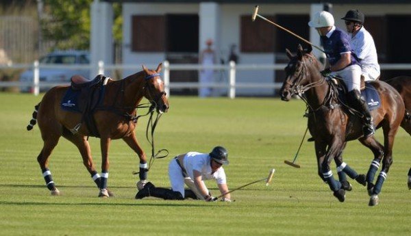 Prince Harry falls off horse South Africa polo match