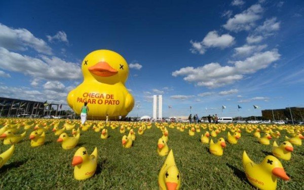 Brazil protests duck